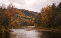 river flowing between autumn trees