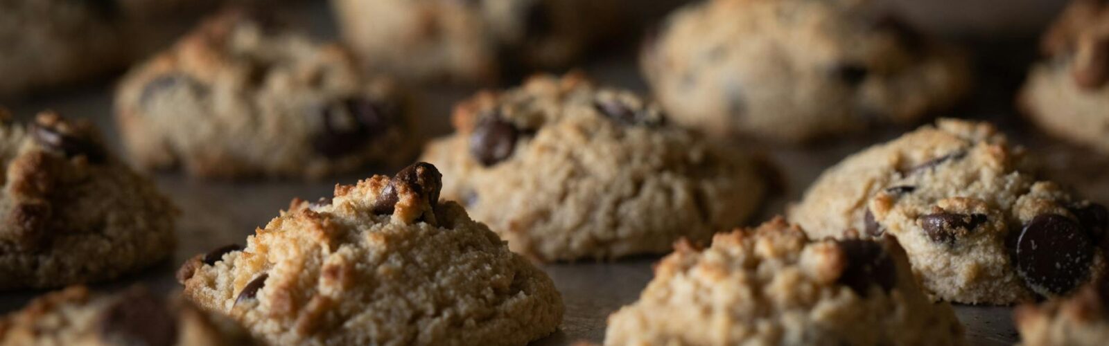 selective focus photography of chocolate cookies
