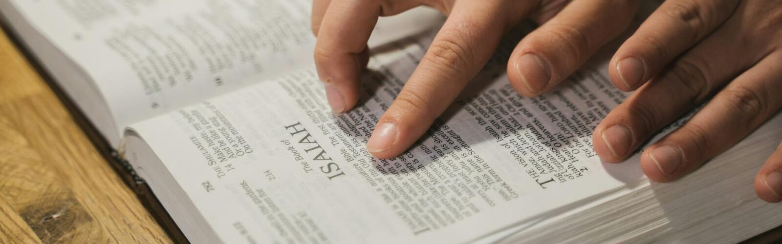 person reading a holy bible