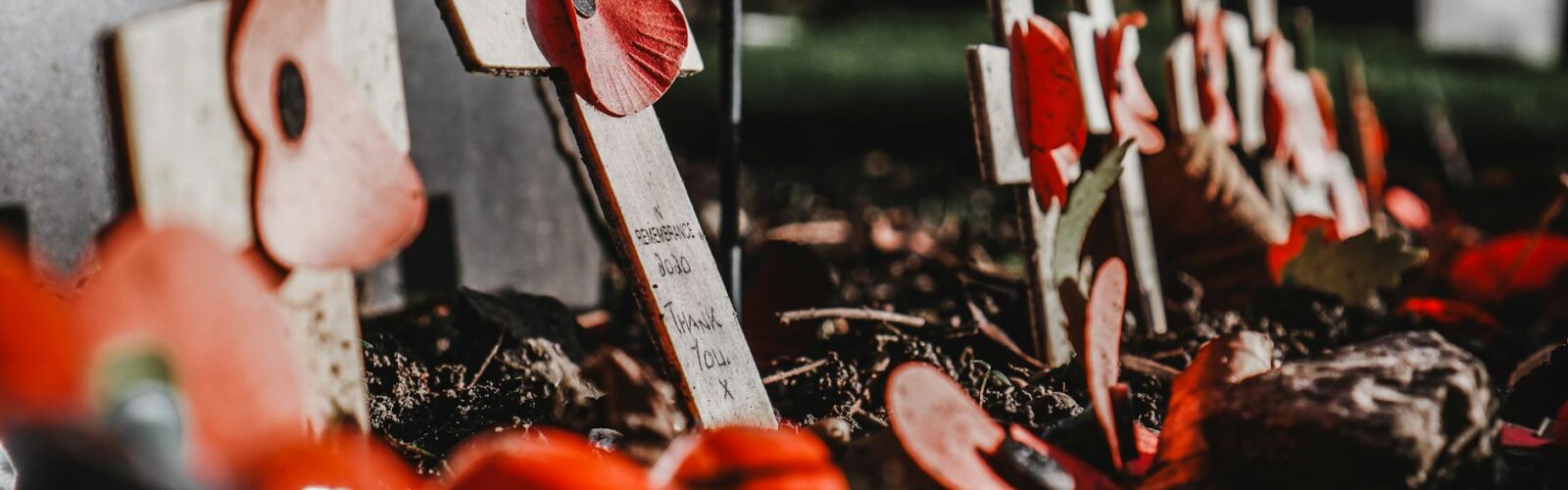 red puppies on crosses in cemetery