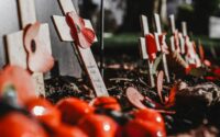 red puppies on crosses in cemetery